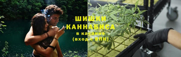 ПСИЛОЦИБИНОВЫЕ ГРИБЫ Алексеевка