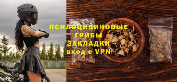 ПСИЛОЦИБИНОВЫЕ ГРИБЫ Алексеевка