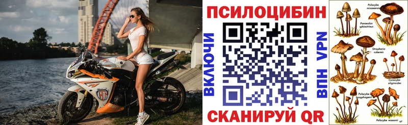 кракен ссылки Нижний Тагил Галлюциногенные грибы прущие грибы