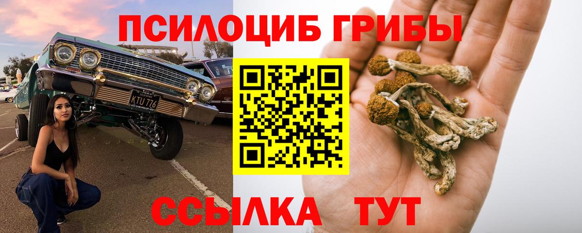 Галлюциногенные грибы ЛСД Нижний Тагил